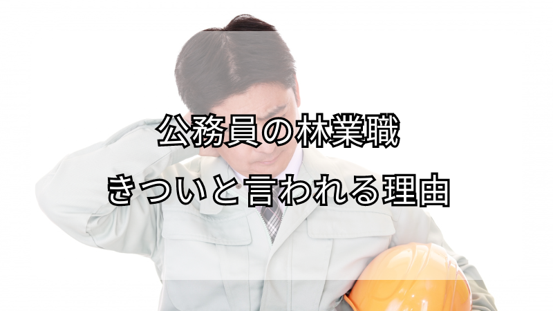 公務員の林業職がきついと言われる理由!向いていない人の特徴も解説